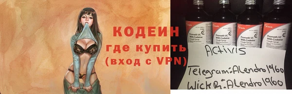 крисы Алексин