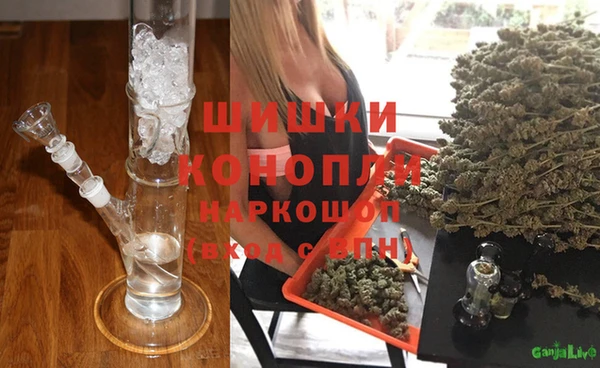 крисы Алексин