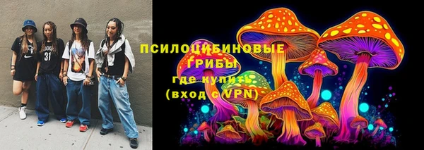 крисы Алексин