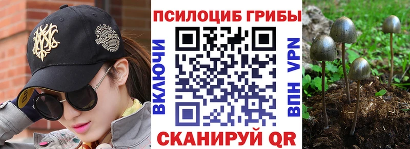 Галлюциногенные грибы Cubensis гидра ONION Мичуринск